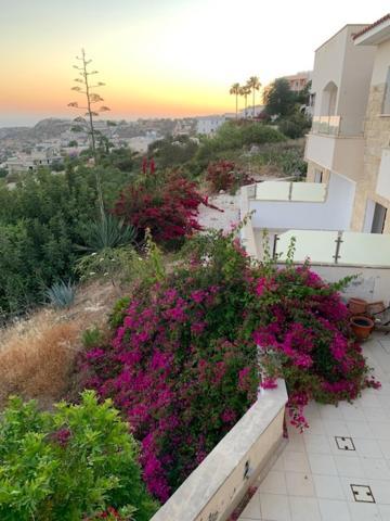 Beau Views Seven Apartment Peyia Bagian luar foto